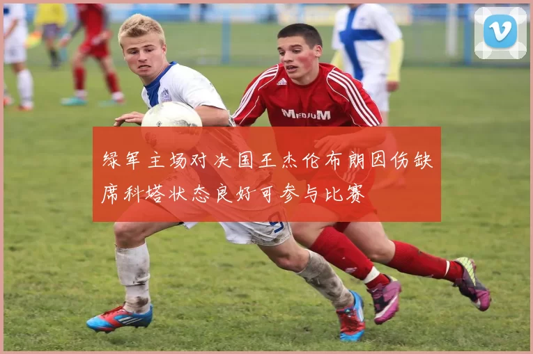 绿军主场对决国王杰伦布朗因伤缺席科塔状态良好可参与比赛